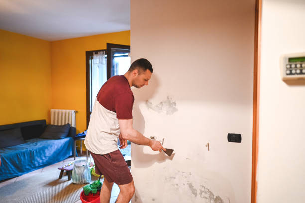 Best Residential Mold Removal  in West Portsmouth, OH